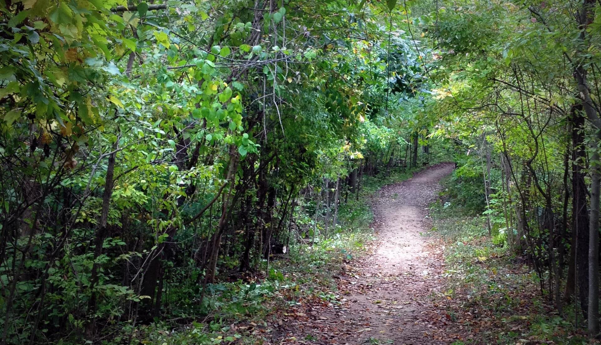 Legacy Park bike trails